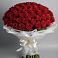 Букет 101 Красная роза Блэк Мэджик в Голиково
