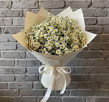 Букет цветов из:  Ромашки в Голиково