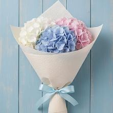 Букет цветов из:  Гортензия в Голиково
