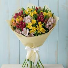 Букет цветов из:  Альстромерии #REPLACE_PRED# Голиково
