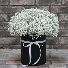 Цветочная композиция из Гипсофила в шляпной коробке #REPLACE_PRED# Голиково