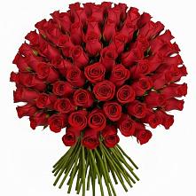 Букет Красные розы Чери Лав в Голиково