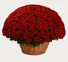 Премиум букет из: Розы в Голиково