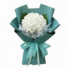 Букет цветов из:  Гортензия #REPLACE_PRED# Голиково